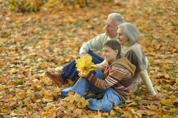 Glücklicher Großvater Großmutter Und Enkel Park — Stockfoto
