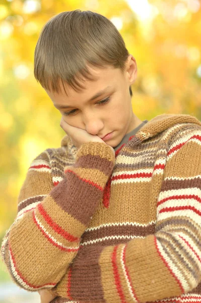 秋天公园里一个悲伤的小男孩的画像 — 图库照片