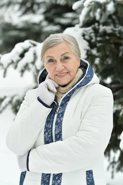 Glückliche Schöne Seniorin Posiert Verschneiten Winterpark — Stockfoto