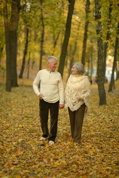 Mulher Sênior Feliz Homem Parque Andando — Fotografia de Stock