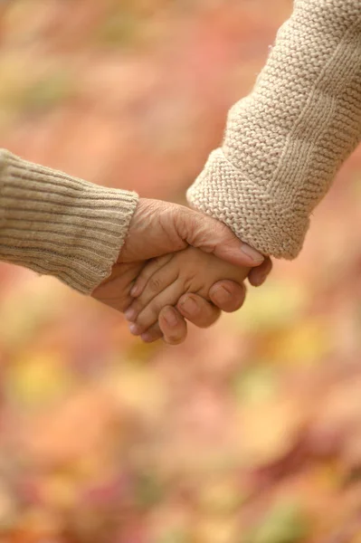 Nipote Nonna Che Tengono Mano — Foto Stock