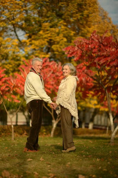 Happy Senior Couple Holding Hands Park — Stock Photo, Image