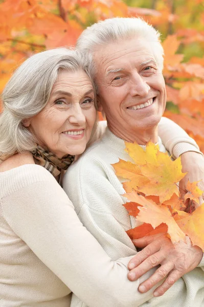 Porträt Eines Schönen Seniorenpaares Mit Blättern Park — Stockfoto