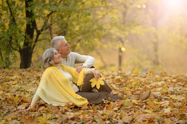 Gelukkige Oudere Vrouw Man Het Park — Stockfoto