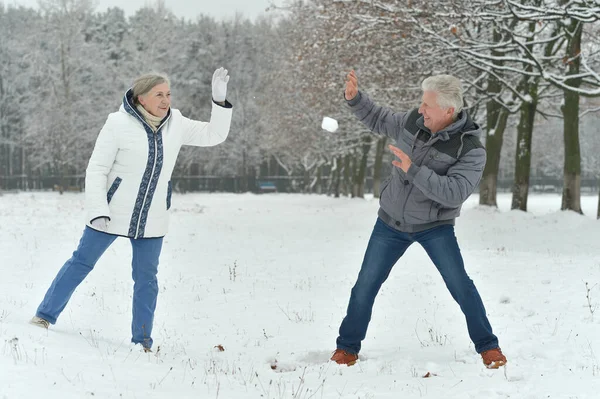 Happy Senior Couple Snowy Winter Park Playing Snowballs — Stock Photo, Image