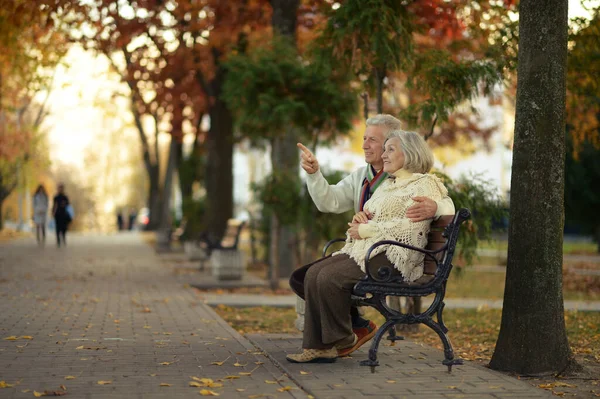快乐的老年男女在公园里 男人展示的东西 — 图库照片