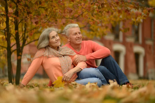 Hermosa Pareja Ancianos Relajarse Parque —  Fotos de Stock