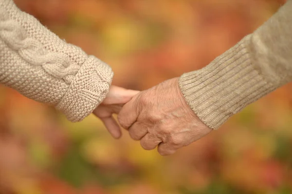 Nipote Nonna Che Tengono Mano — Foto Stock