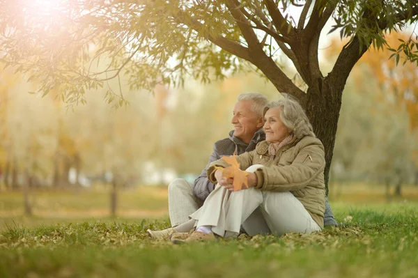 Χαρούμενη Ηλικιωμένη Γυναίκα Και Άντρας Στο Πάρκο Κάθονται — Φωτογραφία Αρχείου