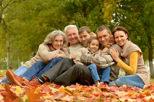 秋の公園で一緒に楽しんでいる大きな家族 — ストック写真