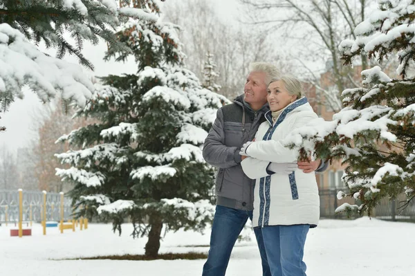 Szczęśliwa Para Seniorów Przytulających Się Śnieżnym Zimowym Parku — Zdjęcie stockowe