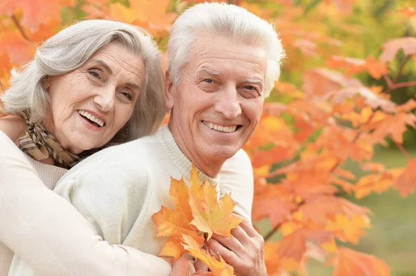 Porträt Eines Schönen Seniorenpaares Herbstlichen Park Mit Blättern — Stockfoto