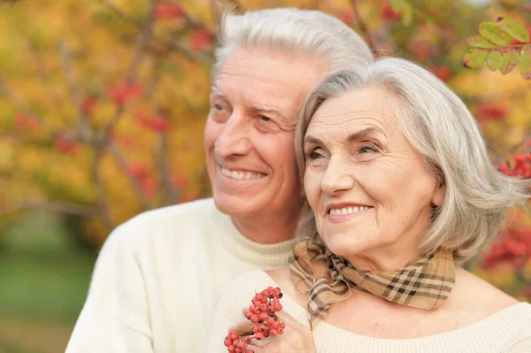 Portrait Beautiful Senior Couple Hugging Park Rowan Berries — Stock Photo, Image