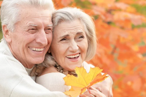 Güz Yapraklı Mutlu Yaşlı Bir Çiftin Portresi — Stok fotoğraf