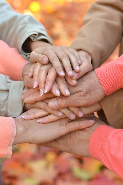 Gambar Dipotong Keluarga Memegang Tangan Bersama Sama — Stok Foto