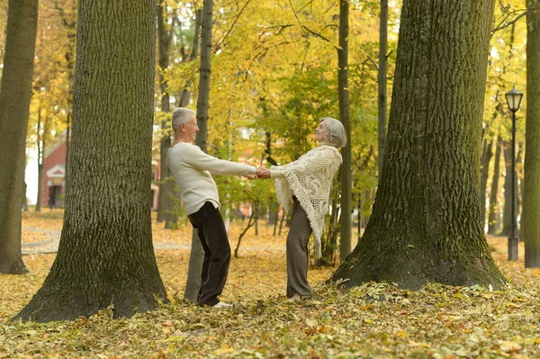 Gelukkige Oudere Vrouw Man Het Park — Stockfoto