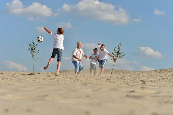 Porträt Eines Schönen Seniorenpaares Park — Stockfoto