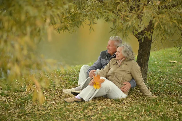 秋の紅葉が美しい公園でリラックスした幸せな先輩夫婦 — ストック写真