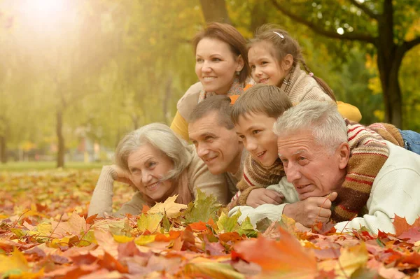 Feliz Família Sorridente Relaxante Parque Outono — Fotografia de Stock