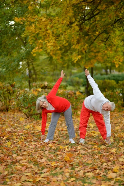 Fit Senior Para Ćwiczenia Parku — Zdjęcie stockowe