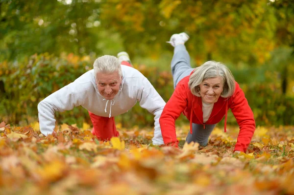 Fit Senior Couple Exercising Park — Stock Photo, Image