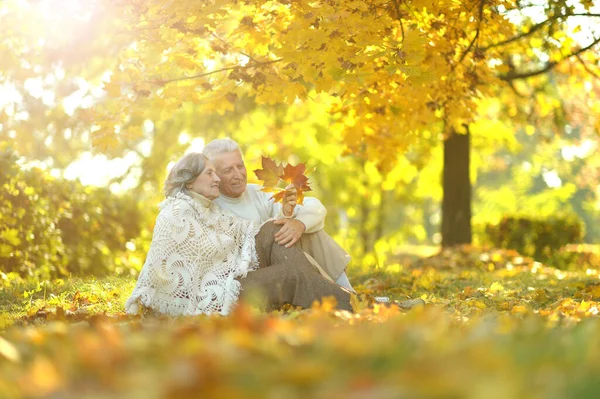 Belo Casal Sênior Feliz Relaxando Parque Com Folhas Outono — Fotografia de Stock