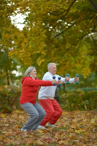Ταιριάζει Ηλικιωμένο Ζευγάρι Άσκηση Στο Πάρκο — Φωτογραφία Αρχείου