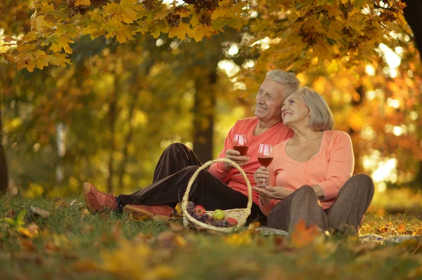 Happy Senior Kobieta Mężczyzna Parku Winem — Zdjęcie stockowe