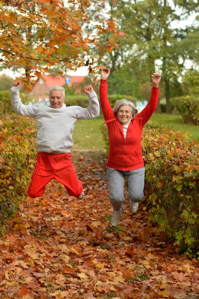 Park Yerinde Egzersiz Yapan Yaşlı Çift — Stok fotoğraf