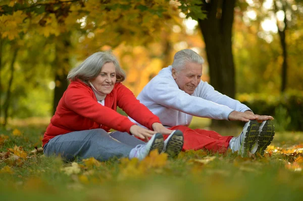 Ajuste Casal Sênior Exercitando Parque — Fotografia de Stock