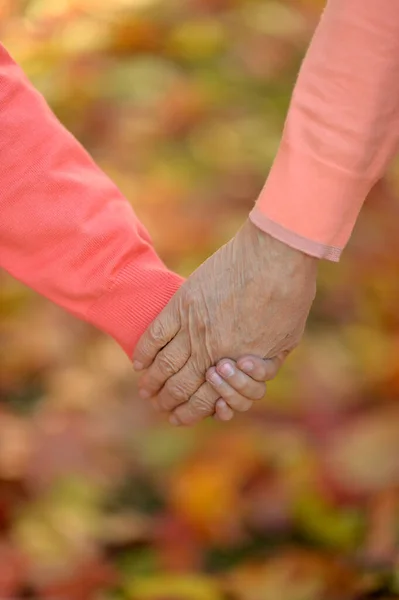 Barnbarn Och Farfar Som Håller Hand — Stockfoto