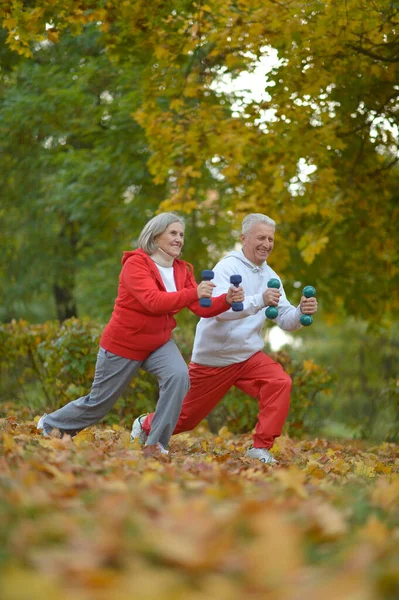 Passar Senior Par Tränar Parken — Stockfoto