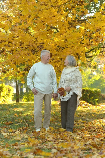 Retrato Belo Casal Sênior Feliz Parque — Fotografia de Stock