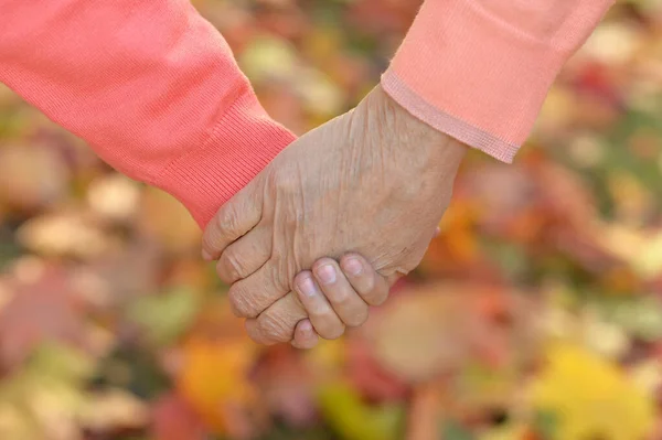 Enkelin Und Großvater Halten Händchen — Stockfoto