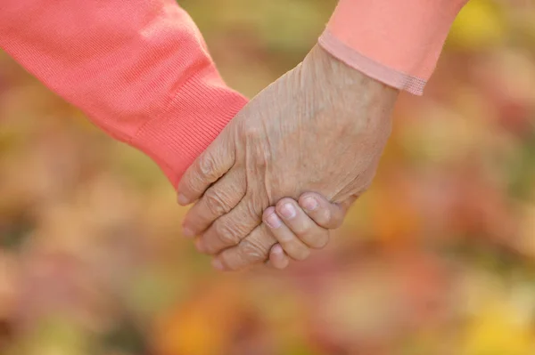 Kleindochter Grootvader Hand Hand — Stockfoto