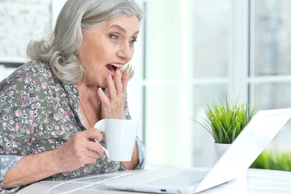 Όμορφη Ηλικιωμένη Γυναίκα Που Χρησιμοποιεί Φορητό Υπολογιστή Στο Σπίτι — Φωτογραφία Αρχείου