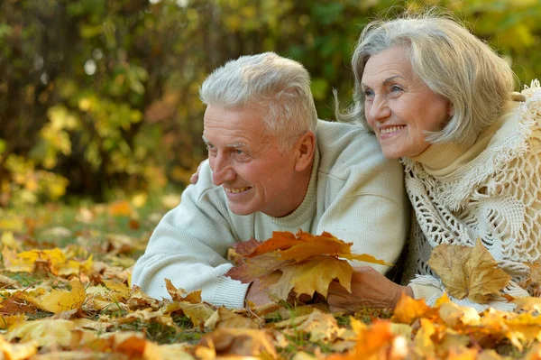 Mooi Seniorenpaar Ontspannen Park — Stockfoto