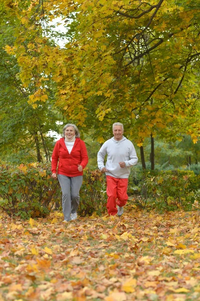 Ajuste Casal Sênior Exercitando Parque — Fotografia de Stock