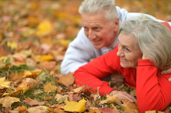 Beau Couple Sénior Relaxant Dans Parc — Photo