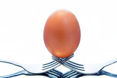 İki çatal dengeli yumurta