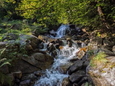 Dağ şelale düşen