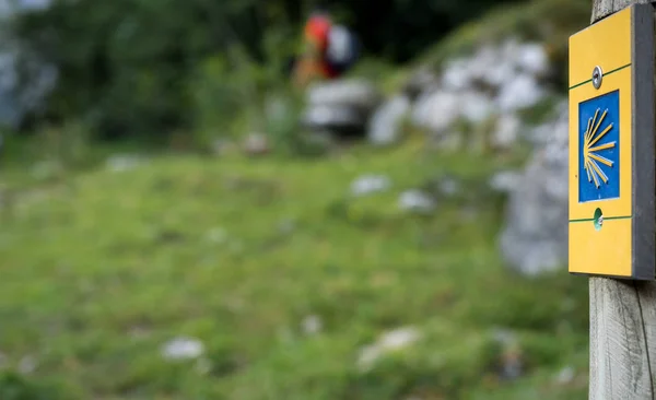 Camino de santiago işareti