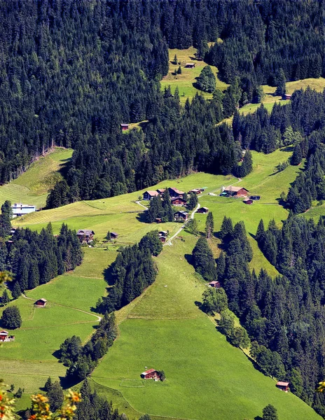 Švýcarské farmy na hoře — Stock fotografie