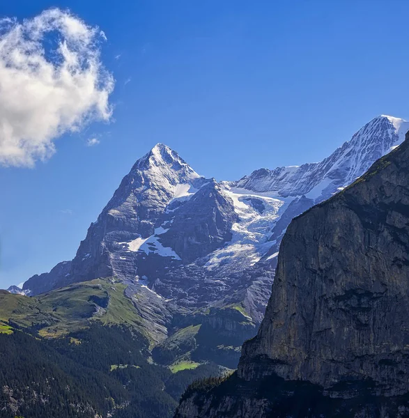 夏天的Eiger — 图库照片