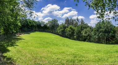 İlkbaharda Euskadi çayırında Pottokak