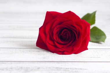 İleti için oda ahşap bir masa üzerinde bir kırmızı gül