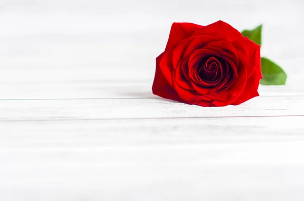 A red rose on a wooden table with room for message