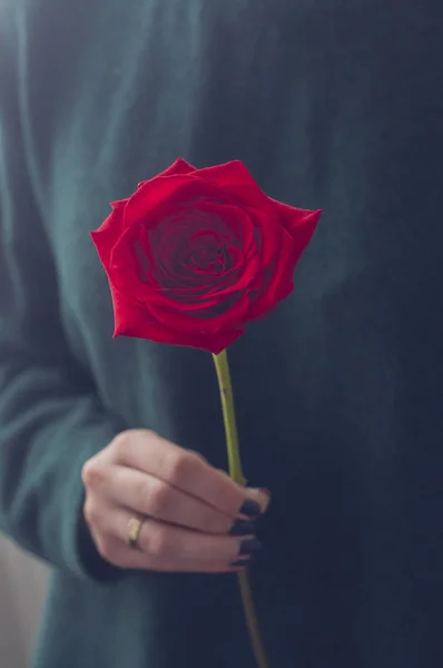 Chica Con Una Rosa Roja —  Fotos de Stock