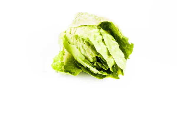 Grüner Römischer Salat Isoliert Auf Weißem Hintergrund — Stockfoto