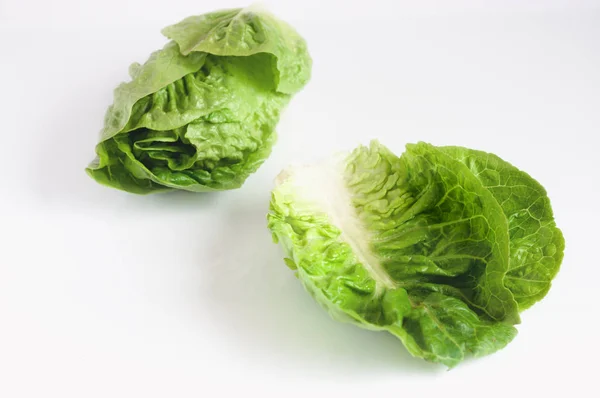 Laitue Romaine Verte Isolée Sur Fond Blanc — Photo